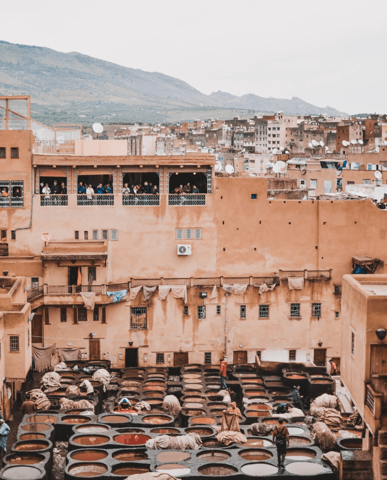 FES